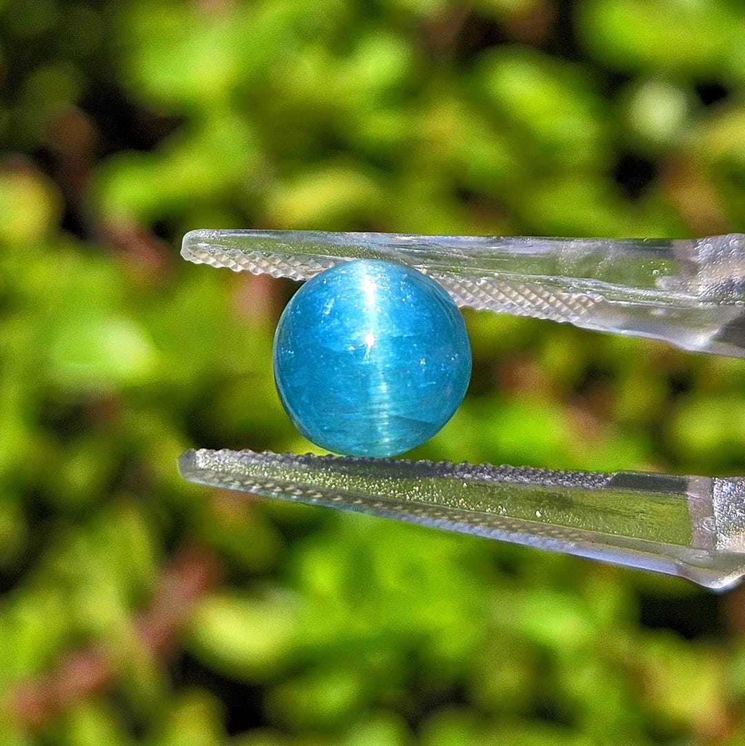 Natural Apatite Cat's Eye Round Cabochon Gemstone | 8mm Chatoyant Loose ...