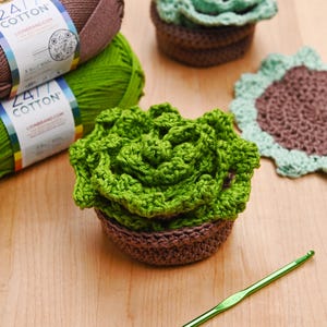 Patrón de posavasos de suculentas a crochet, posavasos con diseño de plantas en PDF, diseño de hojas con bordes festoneados (descarga digital)