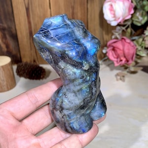 Pode incluir: Uma escultura de torso em labradorite esculpida. A escultura é uma mistura de tons azuis, cinzentos e pretos, com flashes iridescentes. A forma é lisa e polida, com curvas definidas. O fundo inclui flores e madeira.