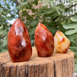May include: Three polished carnelian flame sculptures in varying sizes. The stones display rich shades of red, orange, and brown, with natural patterns and a glossy finish. They are arranged on a rustic wooden surface against a backdrop of green foliage.