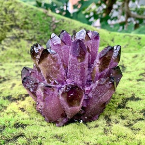 May include: A cluster of amethyst crystals with deep purple and black tips. The crystals are arranged in a radial pattern, with a rough, textured surface. The crystals are set against a backdrop of green moss.