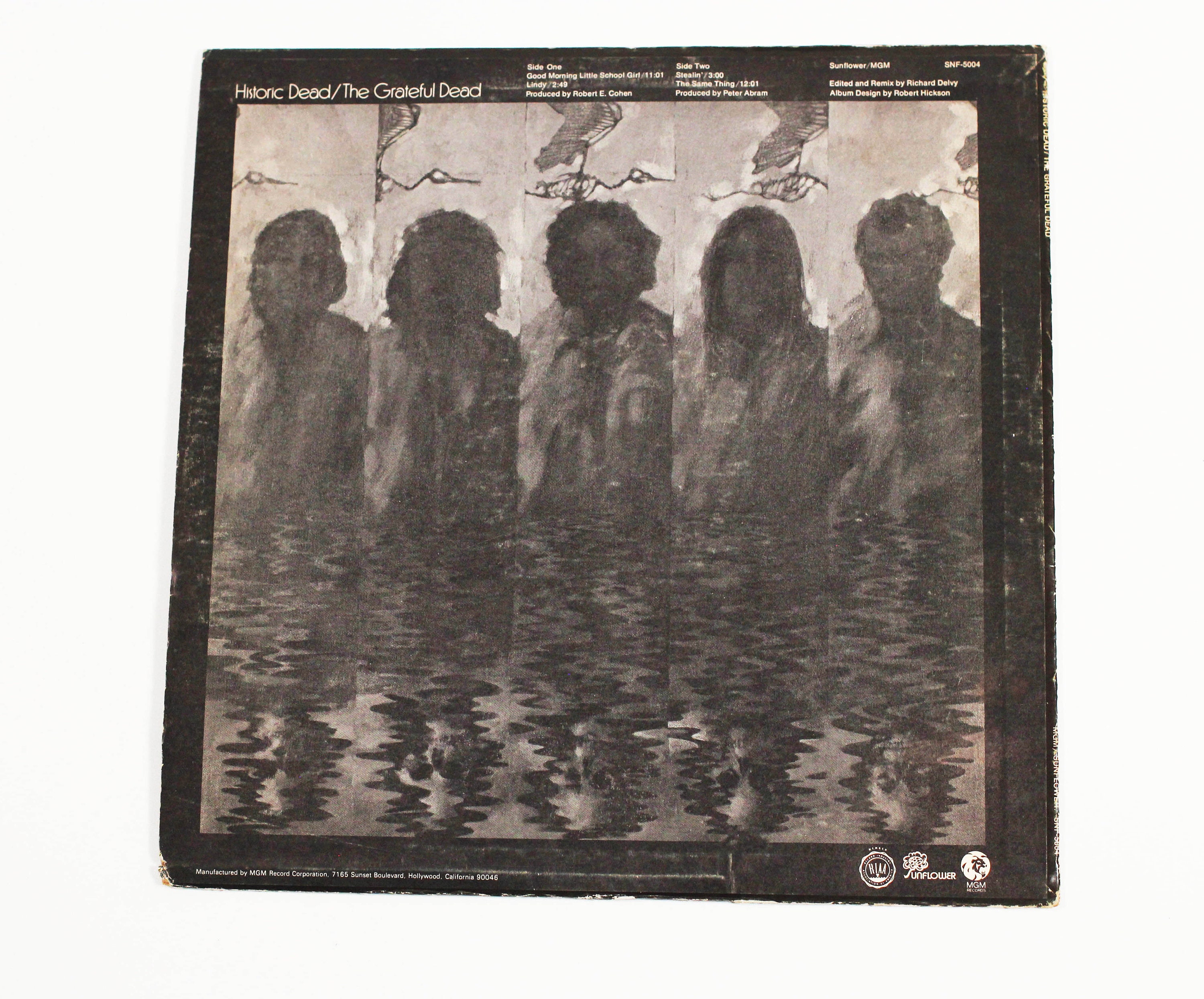 Grateful Dead Live Album Vinyl - Historic Dead 1971 Record - Etsy