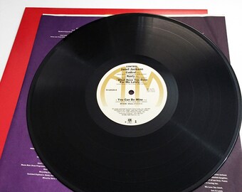 Vintage Original Janet Jackson Control LP with Liner Record Album Vinyl  1986 80s Vinyl