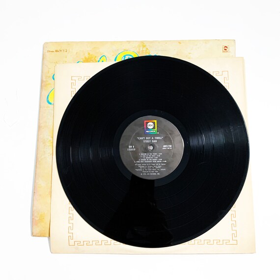 Vintage Steely Dan Can't Buy a Thrill 1972 LP Record Vinyl Album