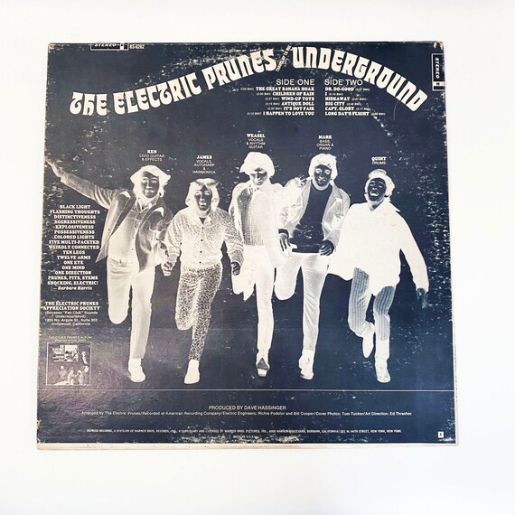 Vintage Original the Electric Prunes Underground Vinyl