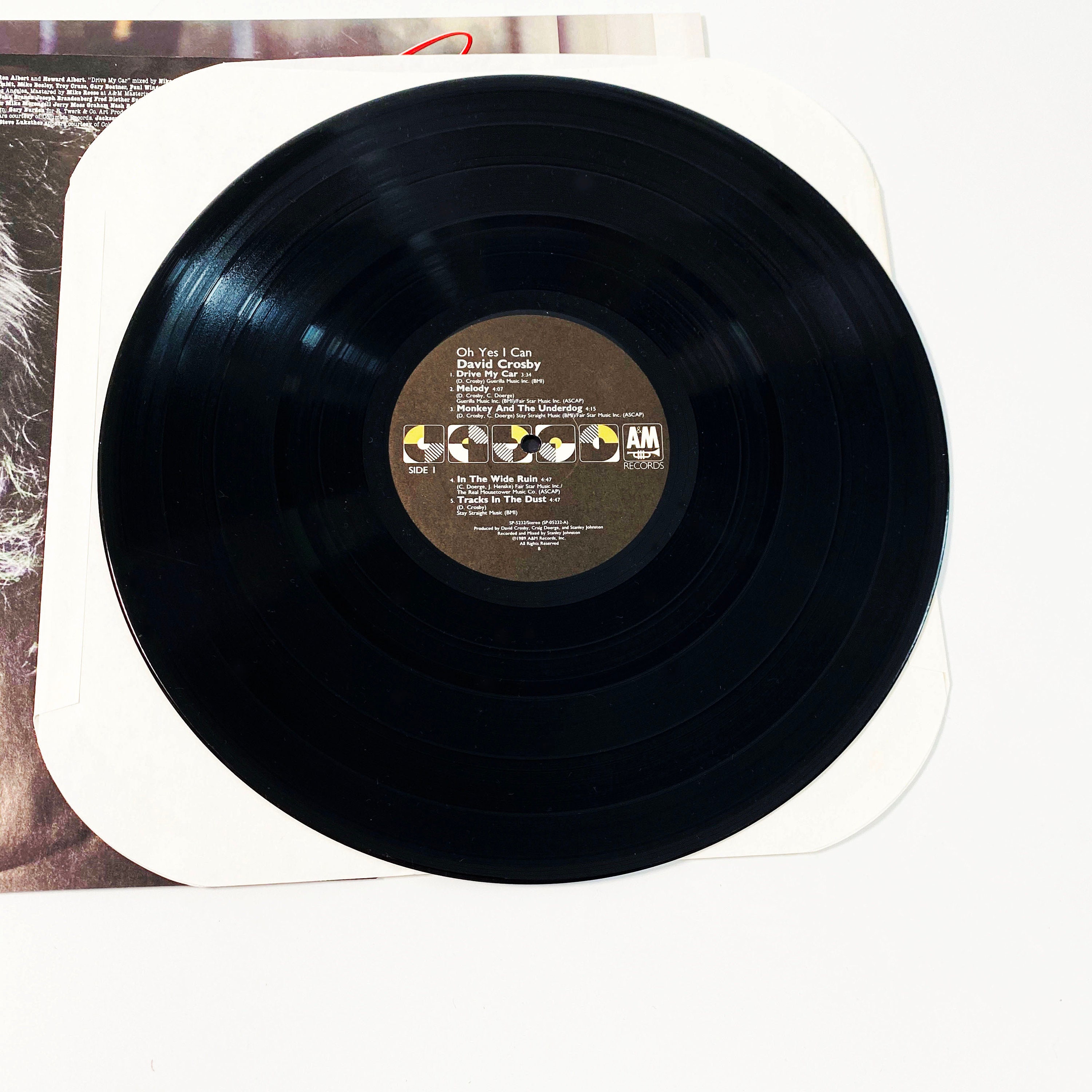 Vintage David Crosby Oh Yes I Can Record LP Album - México