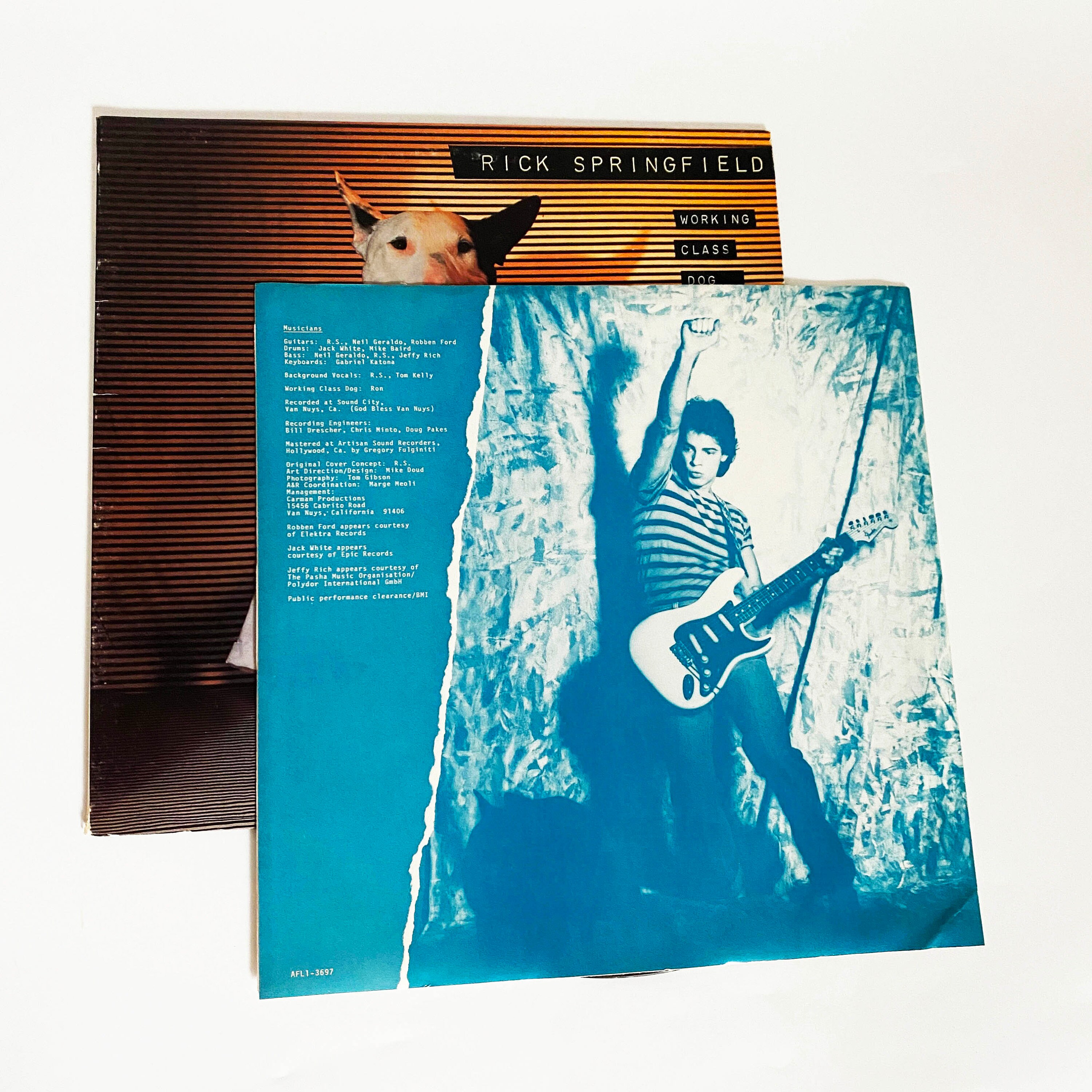 Vintage Rick Springfield Working Class Dog Vinyl LP - 1980s