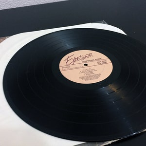 May include: Black vinyl record with a white paper inner sleeve. The record label is cream colored with brown text that reads "Excelsior Chipmunk Punk Side One XLP 8014". The track list includes "Let's Go", "I Don't Care", "How Do I Make You", "I'm Not Sure", "Frustrated".