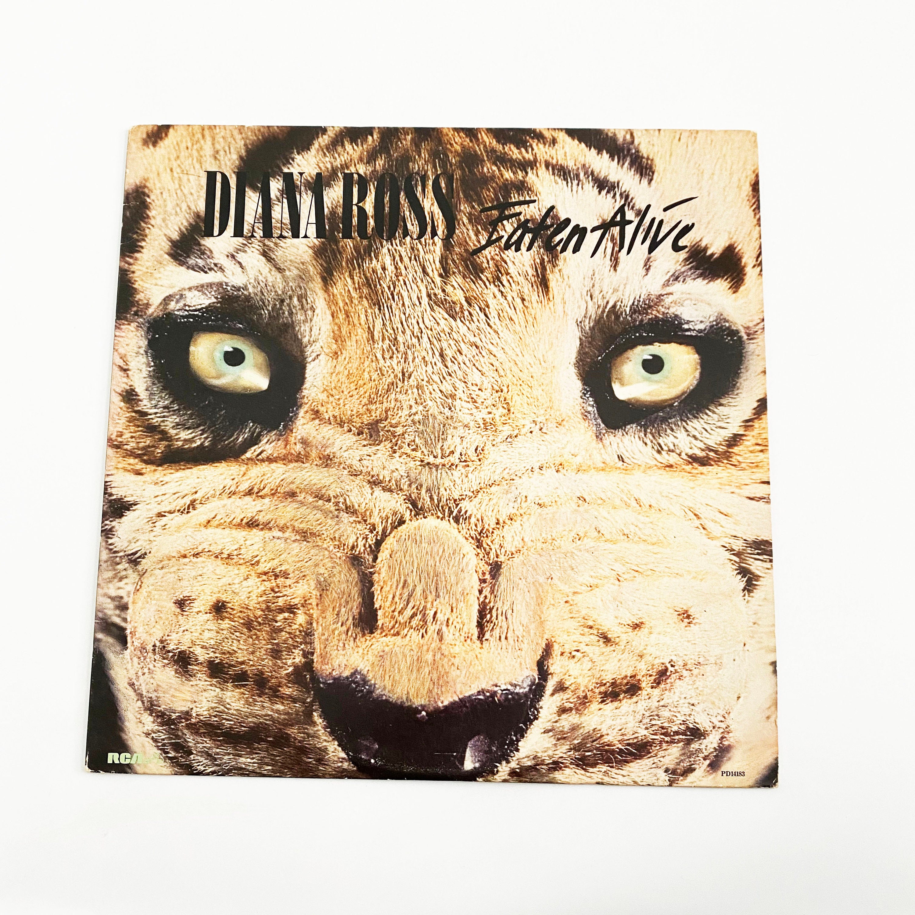 レア！ROTTI/solanin CD of Montreal - The Sunlandic Twins (20th Anniversary Edition