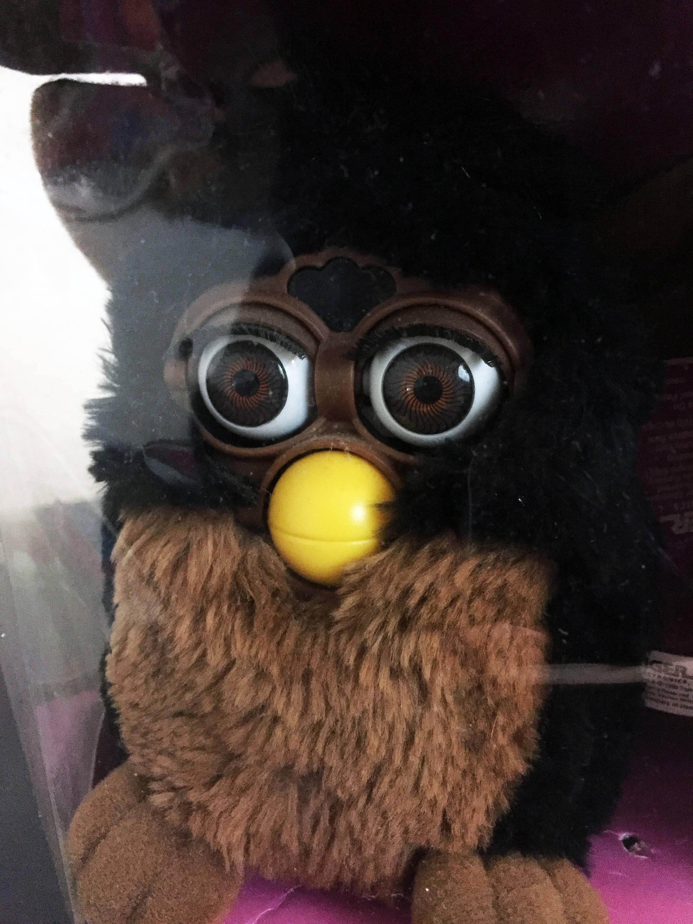 Vintage 1990s Black & Brown Furby in Original Box - Etsy