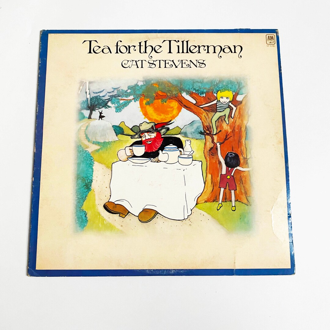 Vintage Cat Stevens Tea for the Tillerman Vinyl Record LP Album 12 1970