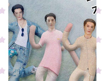 Dylan Wang 30cm Abstract Doll,Shaped Funny dolls