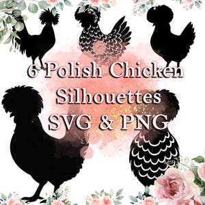 May include: Six black Polish chicken silhouettes in various poses are displayed against a watercolor-style background with text that reads "6 Polish Chicken Silhouettes SVG & PNG". Floral accents frame the image.