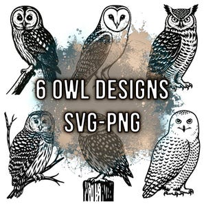May include: Six owl designs in black and white, with varying poses and styles. Some owls perch on branches or posts, while others stand. The text "6 OWL DESIGNS SVG-PNG" is displayed in the center.