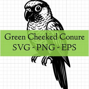 May include: A black and white graphic illustration of a Green Cheeked Conure parrot. A horizontal lime green banner overlays the center of the bird, featuring the black text: Green Cheeked Conure SVG - PNG - EPS. The design is on a grid background.