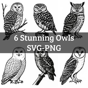 6 superbes hiboux - SVG ~ PNG