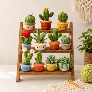 May include: A collection of eleven small, crocheted cactus and succulent plants in colorful pots, arranged on a three-tiered wooden display stand. Each plant features unique textures, green hues, and some include small crocheted flowers in pink, red, or white.