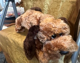 Ty Memphis  beanie buddy