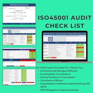 Checklist di audit ISO 45001 Pro / Strumento completo per la conformità alla sicurezza OH&S / Modello modificabile (Excel)