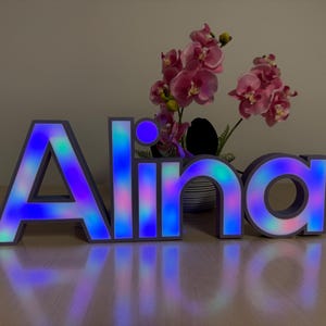 Peut inclure: Enseigne lumineuse épelant "Alina" en lettres majuscules. Les lettres grises ont un intérieur lumineux et coloré. Un vase d'orchidées roses est derrière l'enseigne, posé sur une surface en bois.