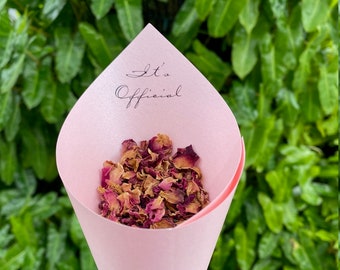 100 Wedding Petal Favor Cones (Pink: It's Official)
