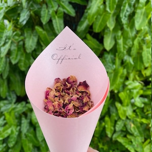 100 Wedding Petal Favor Cones (Pink: It&#39;s Official)