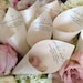 see more listings in the Wedding Petal Favor Cone section