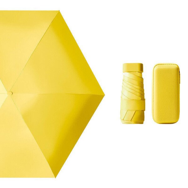 Mini Umbrella With Case