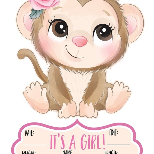 11.74x10.37" Monkey It's a girl, baby announcement with info board (10.45x472") wreath metal sign #743 wreath attachment, wreath supplies
