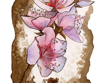 Open edition giclee print of "Blossom", an ink painting made by Eerin Vink. Print of blossoming pink flowers, flower wall art, flower print