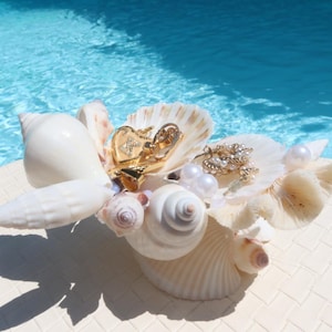 Handmade Shell Jewelry Holder