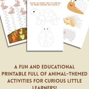 Puede incluir: Tres hojas de actividades imprimibles para ni&ntilde;os. Una hoja presenta conejos siguiendo una l&iacute;nea de puntos hacia un jard&iacute;n. Otra muestra un contorno de tortuga y mariquita para colorear. La tercera hoja tiene un caracol, un erizo y una oveja.