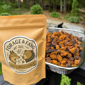 Könnte beinhalten: Ein beigefarbener Beutel mit den Worten "FORAGE & FANG" und einer Grafik eines Fuchses und eines Bären, mit dem Text "100% WILD CHAGA". Daneben ein Metallkorb mit Stücken von orangefarbenen und braunen Chaga-Pilzen.