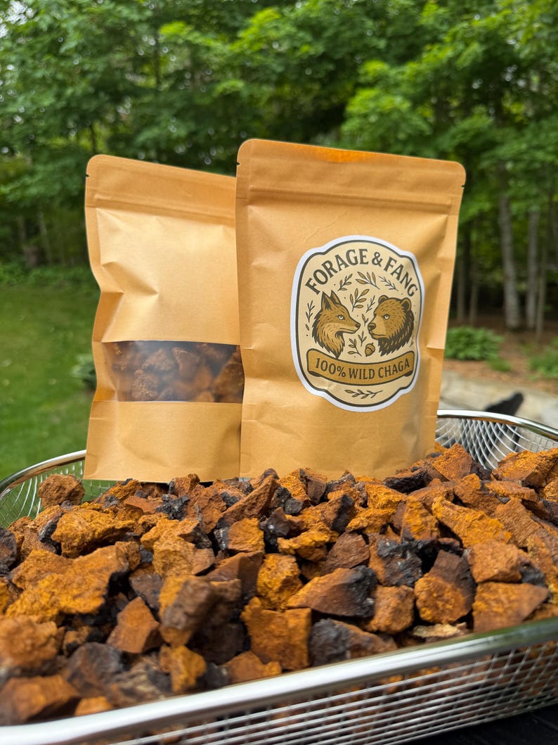 100% Wild Harvested Premium Ontario Medium Sized Chaga Chunks - Tea ...