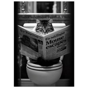 Cat on the loo | Black and White Bathroom Art