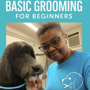 Basic Grooming for Beginners
