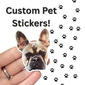Custom Pet Stickers – 3” Glossy Vinyl – Set of 9