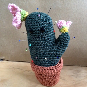 Cute flower cactus pincushion