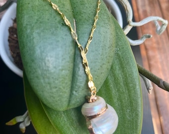 gold shell summer necklace