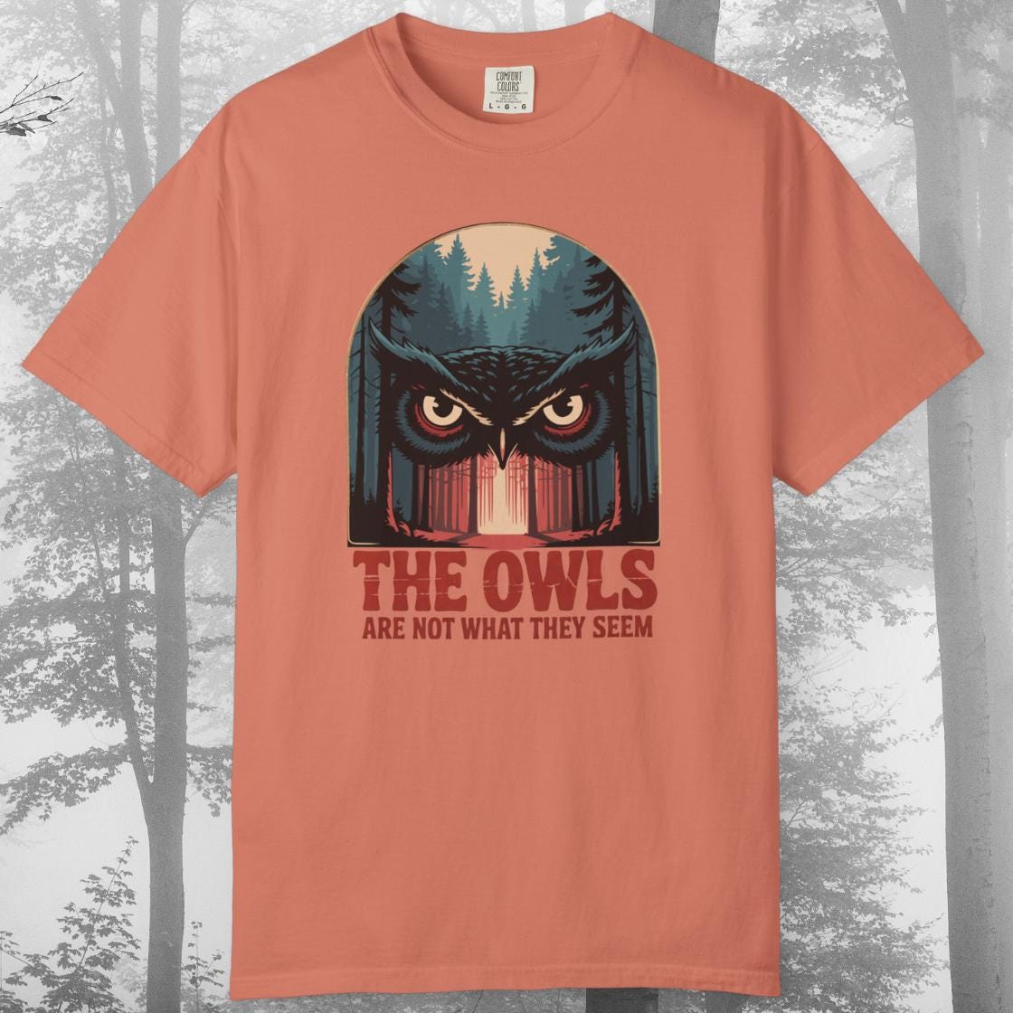 洋楽 V/Vm The Owls Are Not What They Seem The Owls Are Not What They Seem | V/Vm Wiki | Fandom