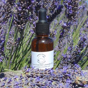 Lavender Essential Oil, 100% pure, essential oils, Lavender, Purple, Grosso, Lavandula, Intermedia x, fragrance, health, organic, Oregon oil