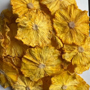 3 Bags Dehydrated Pineapple Slices | 100g Each | Dried Fruit for Cocktails, Snacks, Baking, Teas & Gifts | No Sugar Added