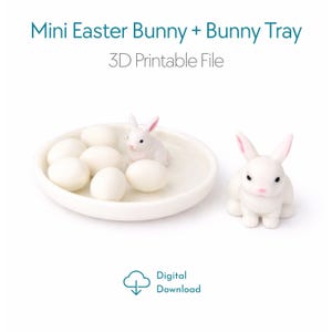 May include: A white ceramic bunny figurine and a bunny tray with white eggs. The tray holds six eggs and a bunny. The image includes the text "Mini Easter Bunny + Bunny Tray" and "3D Printable File".