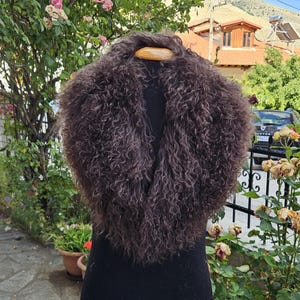 May include: A dark brown, curly fur collar. The collar is displayed on a black form, highlighting its texture and shape. The fur appears thick and luxurious, with a natural, unadorned style. The collar is designed to be worn around the neck.