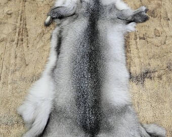 鞣し加工されたキツネの毛皮：本物の動物の毛皮（45～50インチ