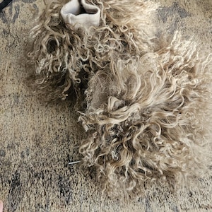 Op de afbeelding: Een paar beige, krullende pantoffels met een dichte, ruige pool van lange, golvende vezels. De pantoffels hebben een zichtbare, gladde, lichtgekleurde geribbelde gebreide boord bij de opening, wat een contrast vormt met de volumineuze buitenkant.
