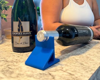 Refrigerator Wine/Champagne Bottle Storage