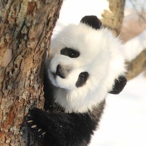 Panda Bär große realistisch modellierte Tier. Plüsch Sammlerstück Teddybär Unikat (made to order)