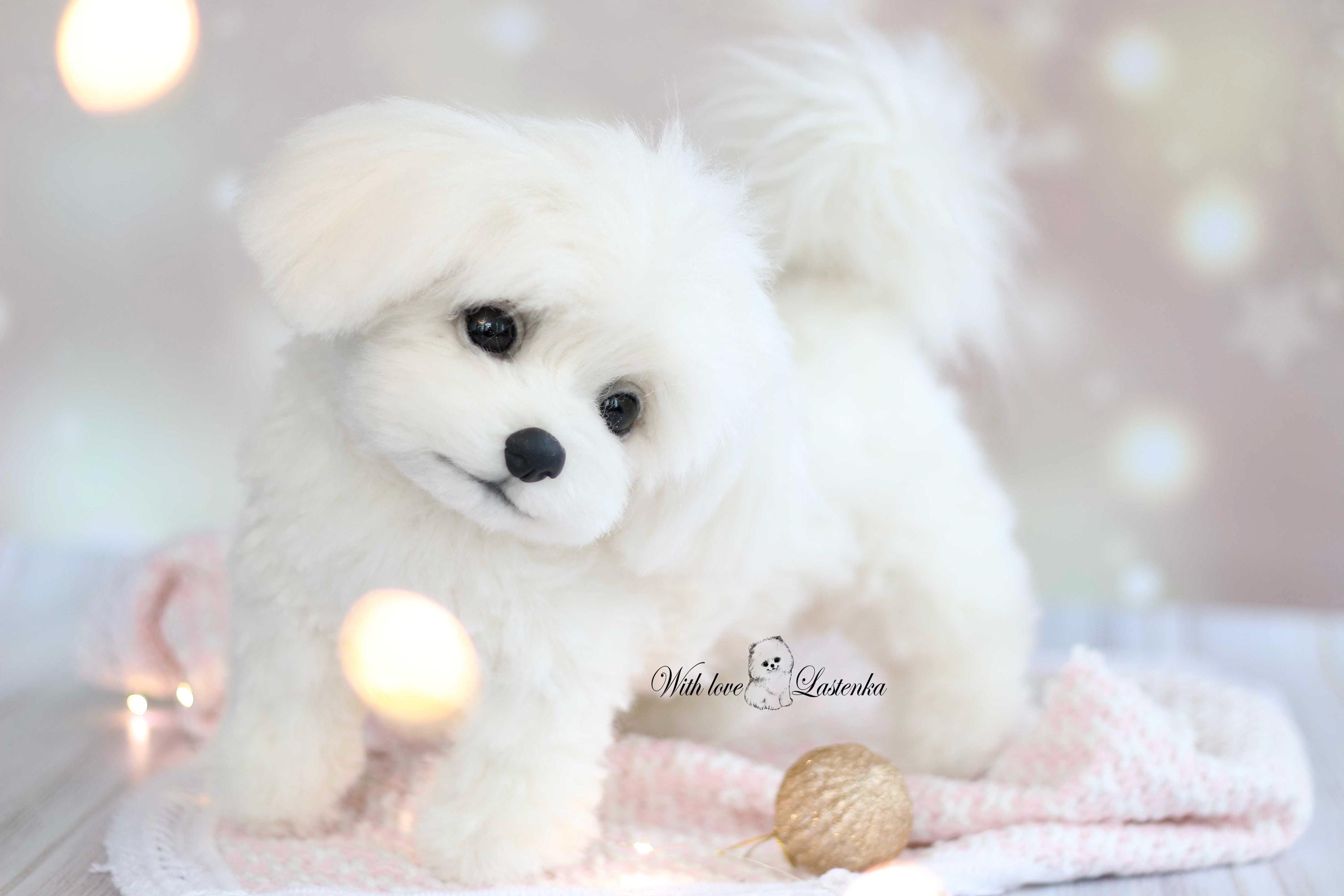 リアルなマルチーズの子犬のぬいぐるみ：ソフトスカルプチャー、ペット