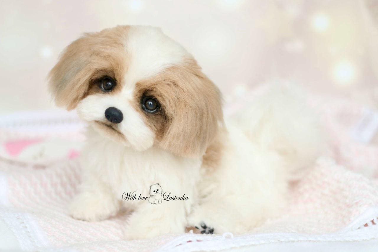 Shih Tzu Plush Toy